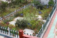 ������ˮ���óͷ�װ���Ĵ��óͷ�ԭ��