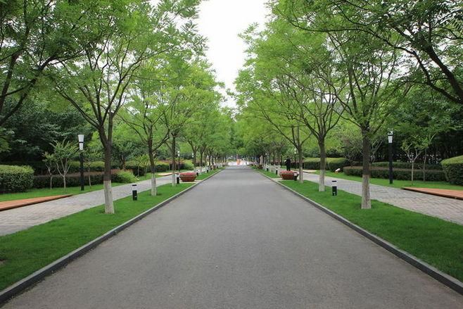 Betfred��������