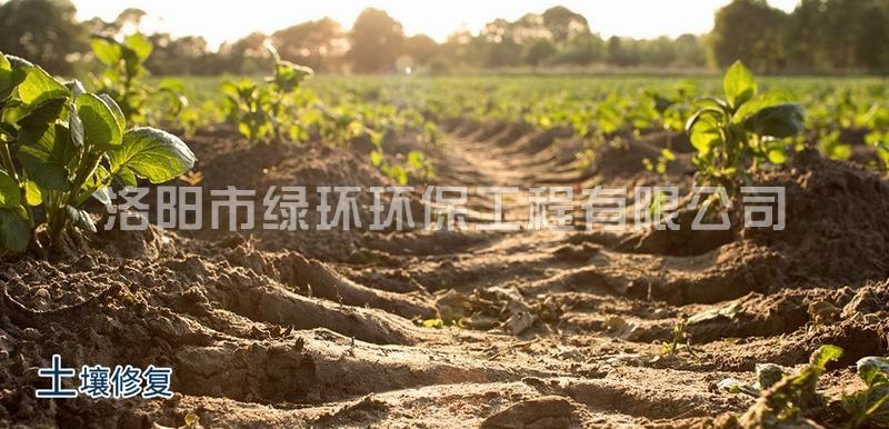 Betfred��������