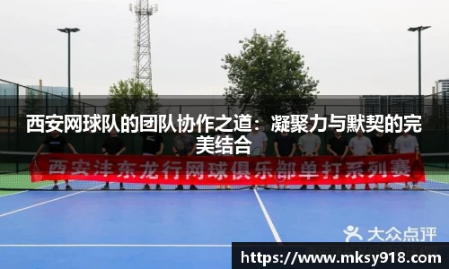 西安网球队的团队协作之道：凝聚力与默契的完美结合