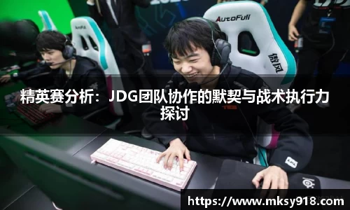 精英赛分析：JDG团队协作的默契与战术执行力探讨