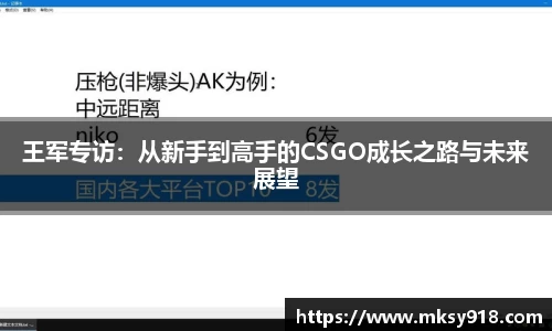 乐竞体育网址
